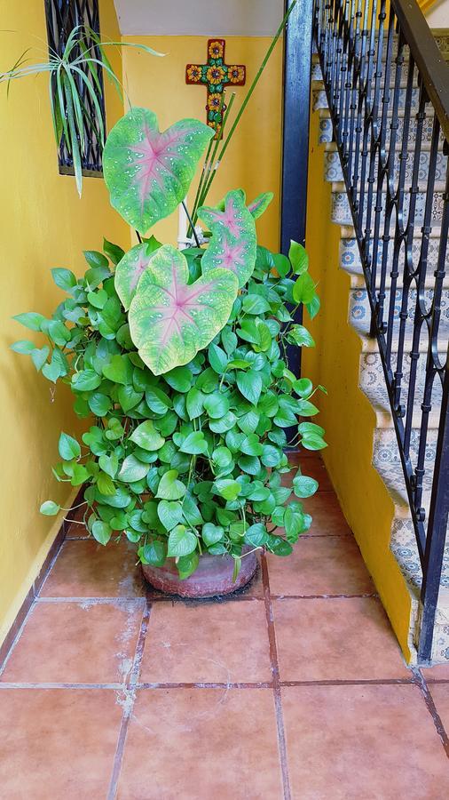Hotel Rosalia Valladolid  Ngoại thất bức ảnh